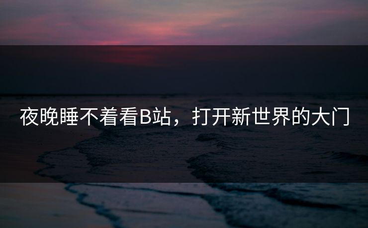 夜晚睡不着看B站，打开新世界的大门