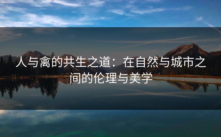 人与禽的共生之道：在自然与城市之间的伦理与美学
