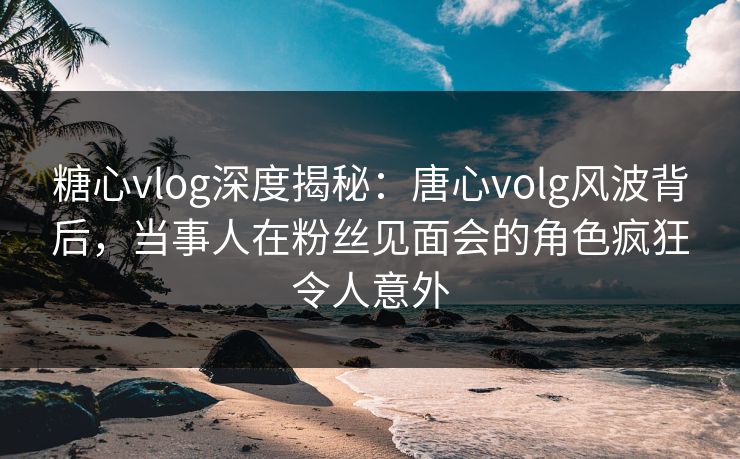 糖心vlog深度揭秘：唐心volg风波背后，当事人在粉丝见面会的角色疯狂令人意外