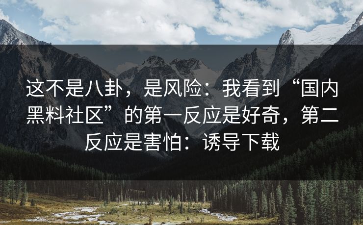 这不是八卦，是风险：我看到“国内黑料社区”的第一反应是好奇，第二反应是害怕：诱导下载